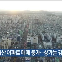 지난해 울산 아파트 매매 증가…상가는 감소