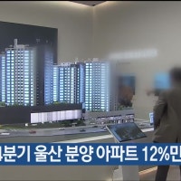 지난해 4분기 울산 분양 아파트 12%만 실계약
