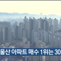 지난해 울산 아파트 매수 1위는 30대