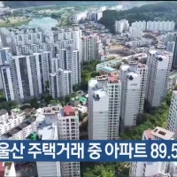 지난해 울산 주택거래 중 아파트 89.5%