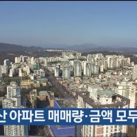 1월 울산 아파트 매매량·금액 모두 감소