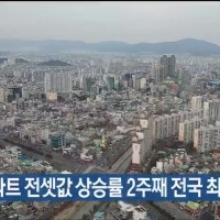 울산 아파트 전셋값 상승률 2주째 전국 최고