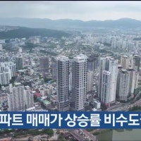 울산아파트매매가 상승률 비수도권 최고