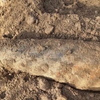 아파트 신축공사장서 발견된 '이것'…