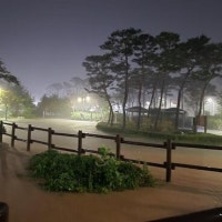 무너지고 잠기고…물폭탄 충남·대전·경남서 피해 속출