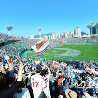 롯데, 가장 낡은 홈구장 쓰는 팀 될까? 대전→청라→잠실 줄줄이 준비중...