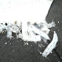 부산 신축아파트 내 혹파리 '득실'…입주민들 분통