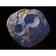 [아하! 우주] 金 캐러 가나?…NASA, ‘보물 소행성’ 16프시케 탐사 본격화