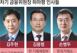 금융시장 불안감 커져… 금융위원장에 리스크 전문가 김주현 급부상