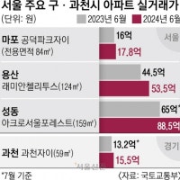 똘똘한 한 채 잡아라… 마용성·과천 아파트값 ‘들썩’