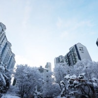 ‘1기 신도시 재건축’ 이주수요, 시장에 맡긴다… 7700호 공급 보완