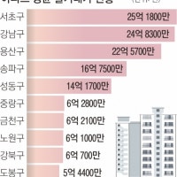 작년 실거래 아파트값 ‘양극화 심화’, 서초·강남 평균 25억… 도봉의...