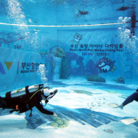 다이빙풀·캠핑장… '알짜 콘텐츠'로 북항 북적