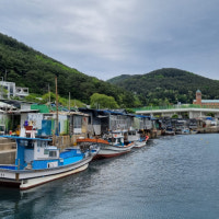 아파트 건립 부지 옆 어민 터전 갑자기 판다는 BPA