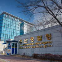 “저절로 자랐다?” 울산서 마약용 양귀비 잇따라 적발