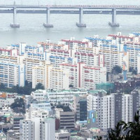 '재건축 최대주' 삼익비치 등 7곳 특별건축 시범사업 예정지 선정