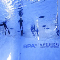 페인트 가루 ‘둥둥’ 부산 북항 다이빙풀 안전 논란