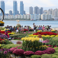 3분기 전국 땅값 0.59% 상승