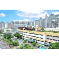 대구 서구 9월 재산세 268억 부과