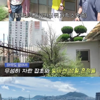 이시언, 알고보니 부동산 고수?..17억 아파트+부산 오션뷰 집 구매