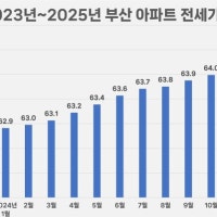 부산 아파트 전세가율 64.6%, 15개월 연속 상승