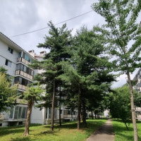 안산주공6단지, 한국토지·무궁화신탁, 18개월간 진전 없어 소유주 우려↑