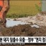 살처분 돼지 침출수 유출…정부 "현지 점검"