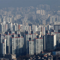 패스트 푸드식 ‘도생’ 공급… 빠르지만 시장 건강엔 나빠