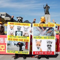[포토]한국동물보호연