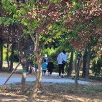 광주 남구, 효천2지구에 관내 6번째 '맨발 산책로'