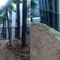 '우리 집은 제발 아니길'…모텔뷰·옹벽뷰·벽뷰 분통 터지는 최악의 아파트[...