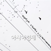 폭염에 웬 날벼락…전신주 부딪힌 까마귀에 아파트 1000세대 정전