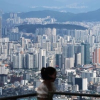 서울 아파트 시가총액, 1년 만에 35조 뛰었다