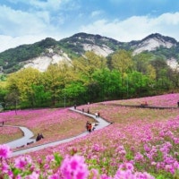 노원구, 서울시 ‘정원도시·꽃의도시' 으뜸 자치구 된 비결?