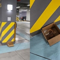 보닛 들어가고 차 긁히면 어떡해…주차장 고양이 사료에 '화들짝'