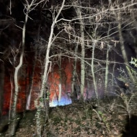 광주 남구 제석산서 불…당국, 발화 원인 규명