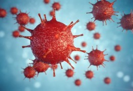 사노피, '헤르페스 바이러스4형 백신' 개발에 좋은 성과 (연구)