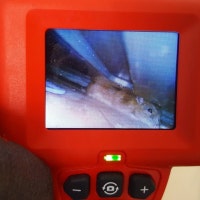 서울 강남 아파트, 강추위 피해 숨어든 ‘쥐떼와 전쟁 중’