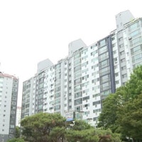 '신도시 선도지구 노리자'…들썩이는 분당 아파트