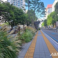 부산시, 올 하반기 BRT 정류소에 ‘정원형 도시숲’ 조성