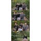 강하늘·옹성우, 이과