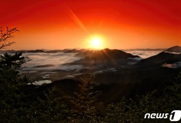 [풍경]구름이 춤추는 옥천 '용암사 운무대' 일출 장관