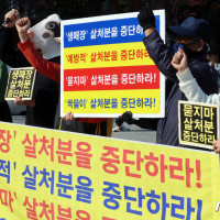 한국동물보호연합, ‘럼