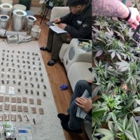 경주 아파트서 대마 키워 판매한 30대 우즈벡인 징역형 집유