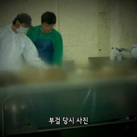 갈대밭 속 토막 시신…'유력 용의자' 남편은