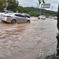 도로·주택 침수되고 나무 쓰러지고… 인천 비 피해 41건(종합)