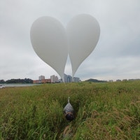 공항·학교 등 인천 곳곳서 北 '쓰레기 풍선' 발견