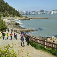 부산 남구 이기대 아파트 건립 취소…건설사