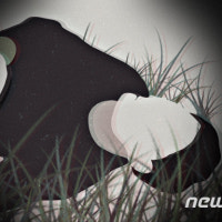 인천 중구 초임 9급 공무원 숨진 채 발견…경찰