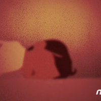 아파트 단지서 2세 어린이 치어 숨지게 한 택배기사 금고형 집유